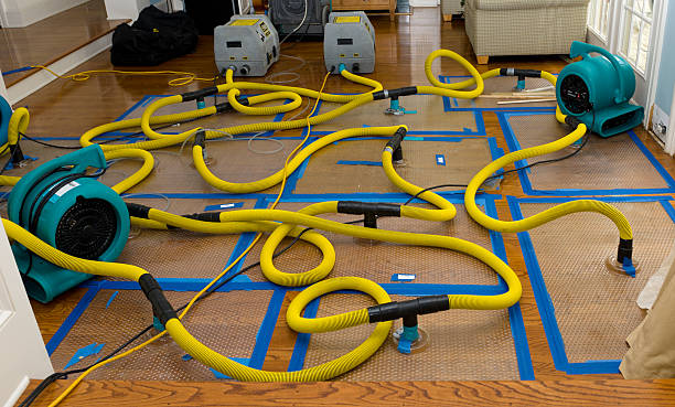 Professional Emergency Water Removal technician working in Cedar Grove, TN